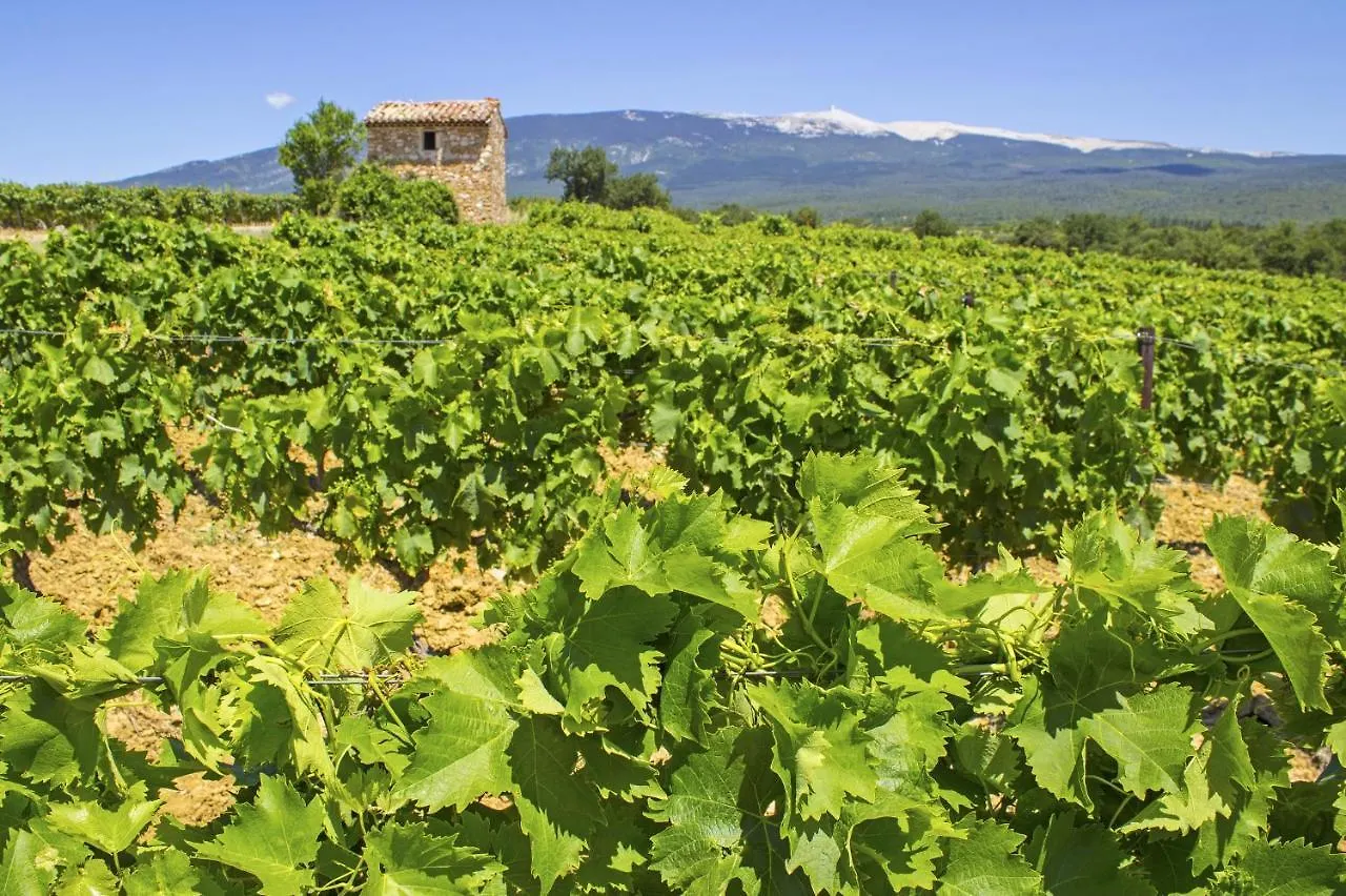 Le Mas Terre Des Anges Sarrians Bed & Breakfast