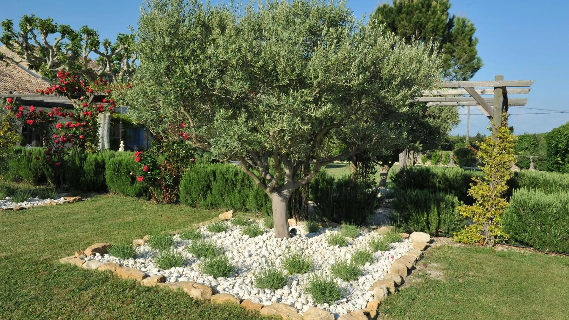 Le Mas Terre Des Anges Sarrians Bed & Breakfast